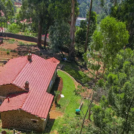 Springdale Villa-2